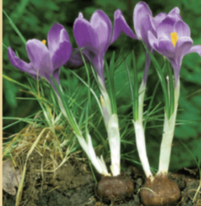 <p>What kind of modification is this?</p>