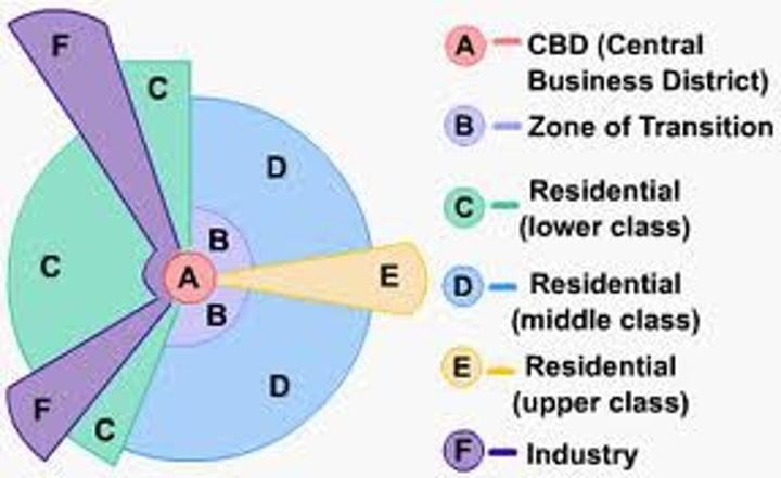 <p>A model of the internal structure of cities in which social groups are arranged around a series of sectors, or wedges, radiating out from the central business district (CBD).</p>