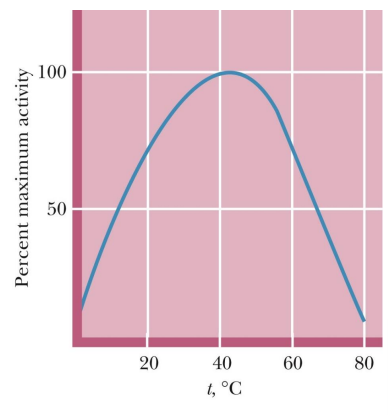 <ul><li><p><span>Rates of enzyme-catalyzed reactions generally <strong>increase with increasing temperature</strong></span></p></li><li><p><span>However, at temperatures <strong>above 50° to 60°C</strong>, enzymes typically show a <strong>decline in activity</strong> --> because of denaturing</span></p></li></ul><p></p>