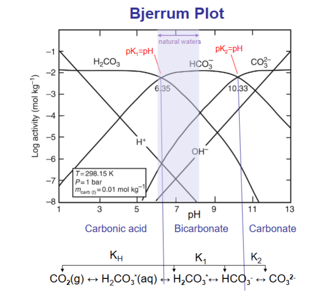 <p>Bjerrum plot shows the relative importance of the various species in an acid-base system under closed conditions (total concentration of all species is constant)</p>