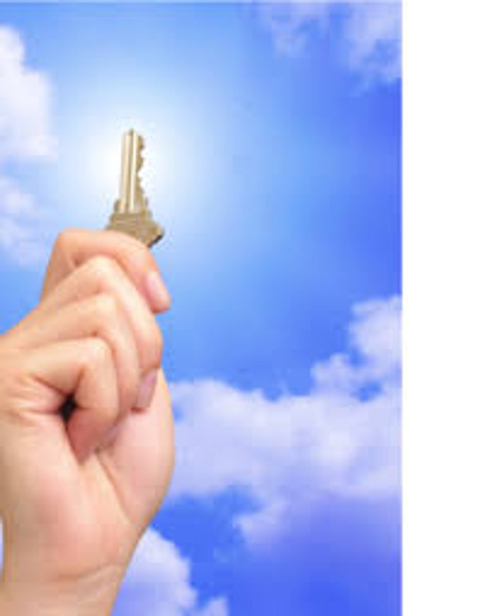 <p>Maczużniczek chiński to</p>