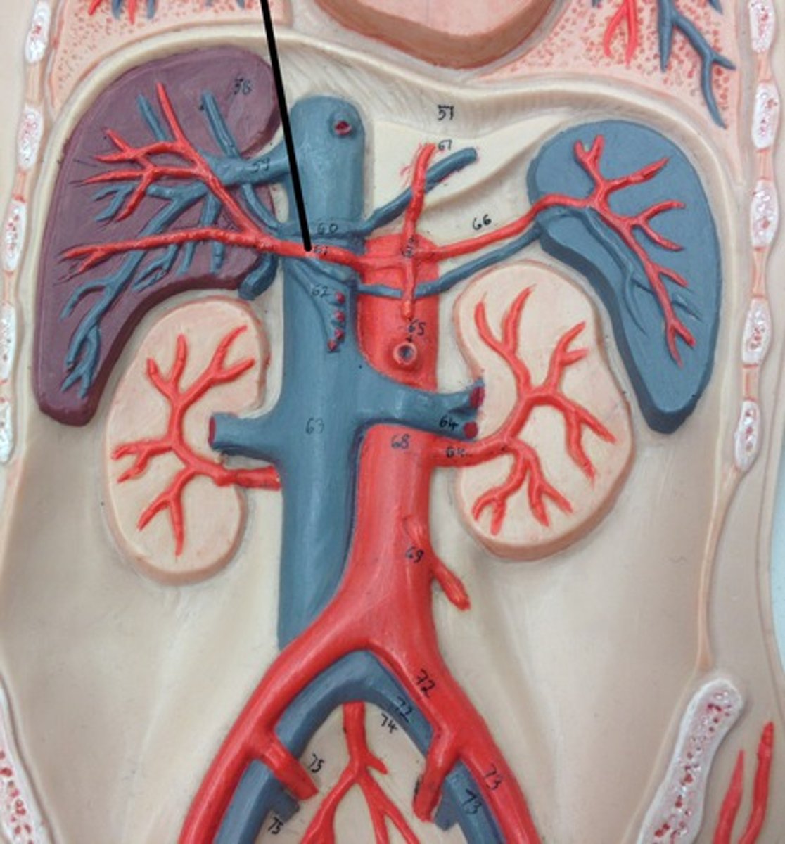 <p>What structure?</p>