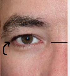 <p>What does the arrow refer to</p>