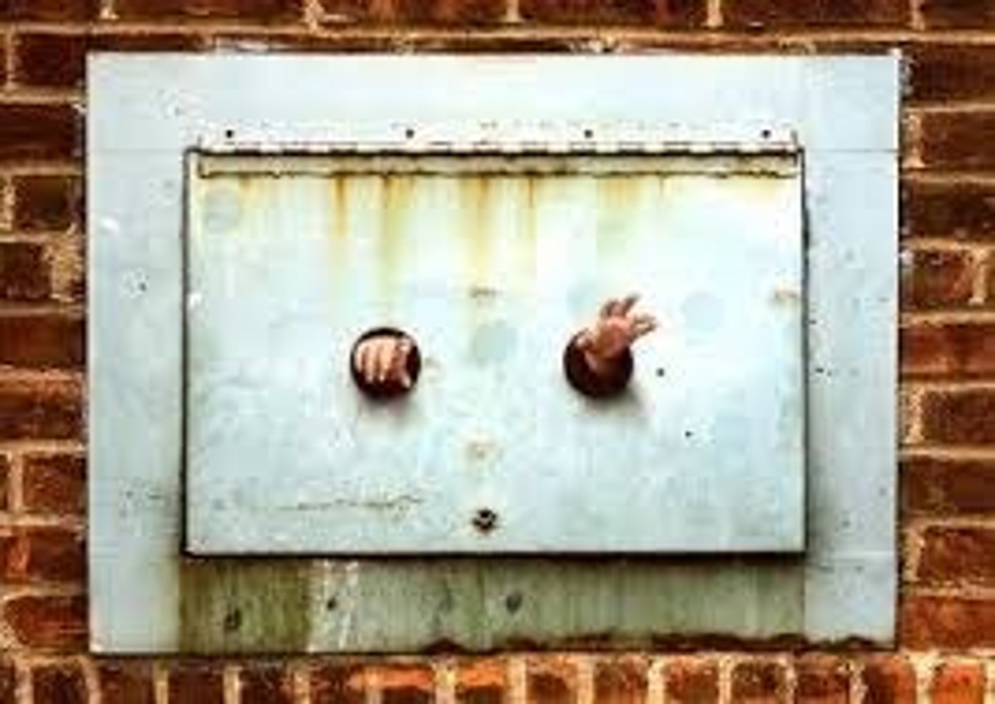 <p>Artivism<br>Hummingbird work<br>Phone Booth<br>Animal Rights campaign</p>