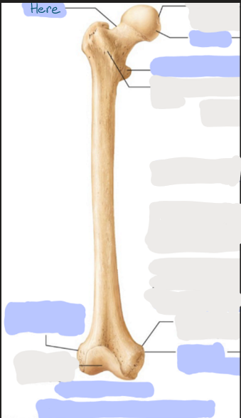 <p>What is here?</p>