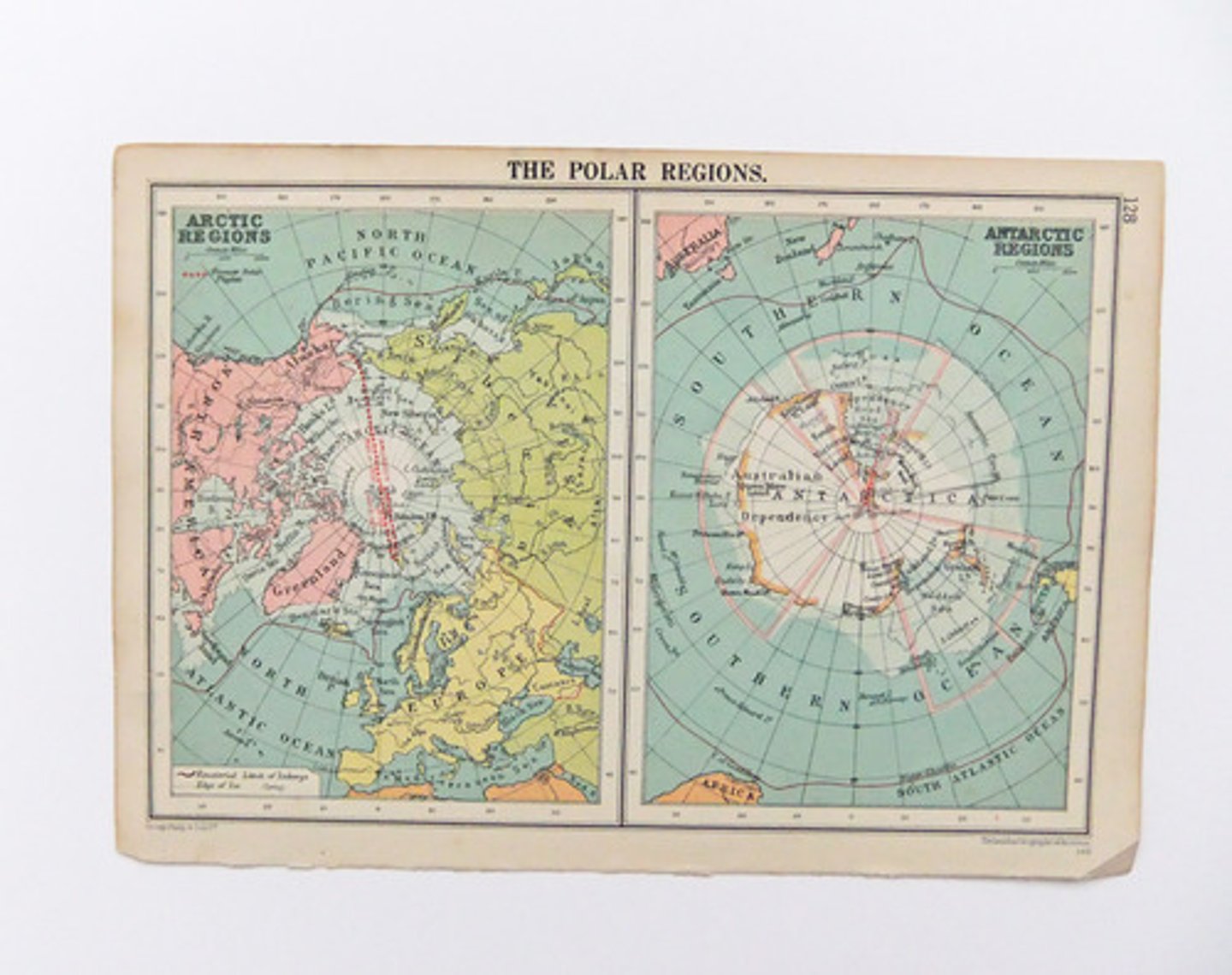 <p>regions of Earth surrounding its geographical poles.</p>