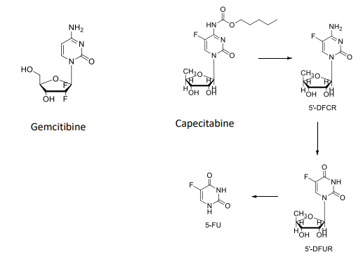 <ol><li><p>gemcitibine</p></li><li><p>capecitabine (undergoes transition to 5’-DFCR to 5’-DFUR to 5'-FU)</p></li></ol>