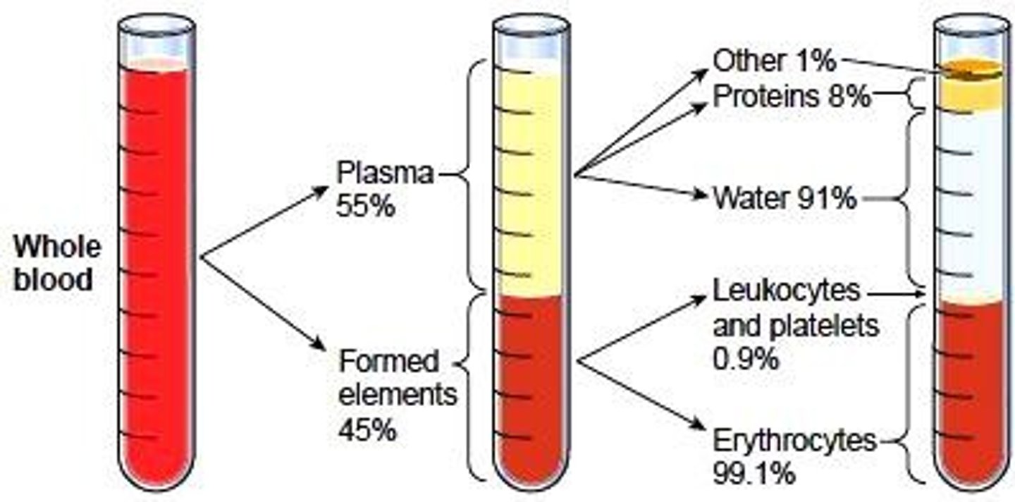 <p>- normal pH range: 7.35-7.45 (slightly basic)</p><p>- total liters of blood: 4-6 liters (approx: 1.2 - 1.6 gallons in adults)</p><p>- a type of connective tissue</p>