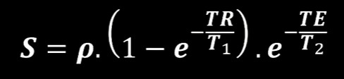 <p>p = proton density</p>