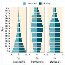 <p>Shows age and gender distribution within a country</p><ul><li><p>typical shapes include: expansive/growing, stationary/stable, and constrictive/declining</p></li></ul>