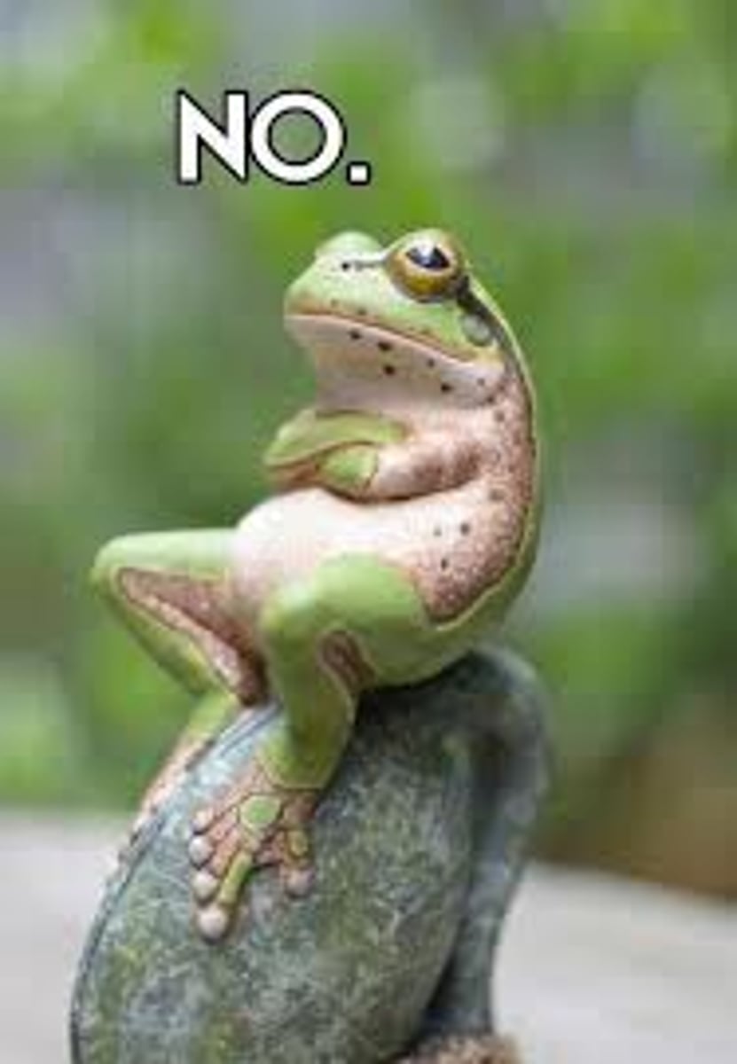 <p>me neither</p>