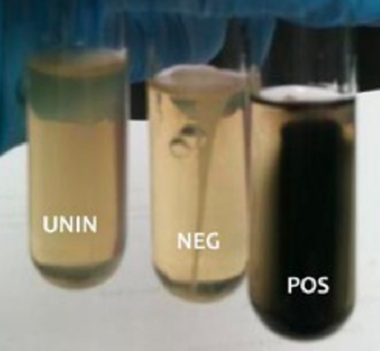 <p>Black Precipitate</p>