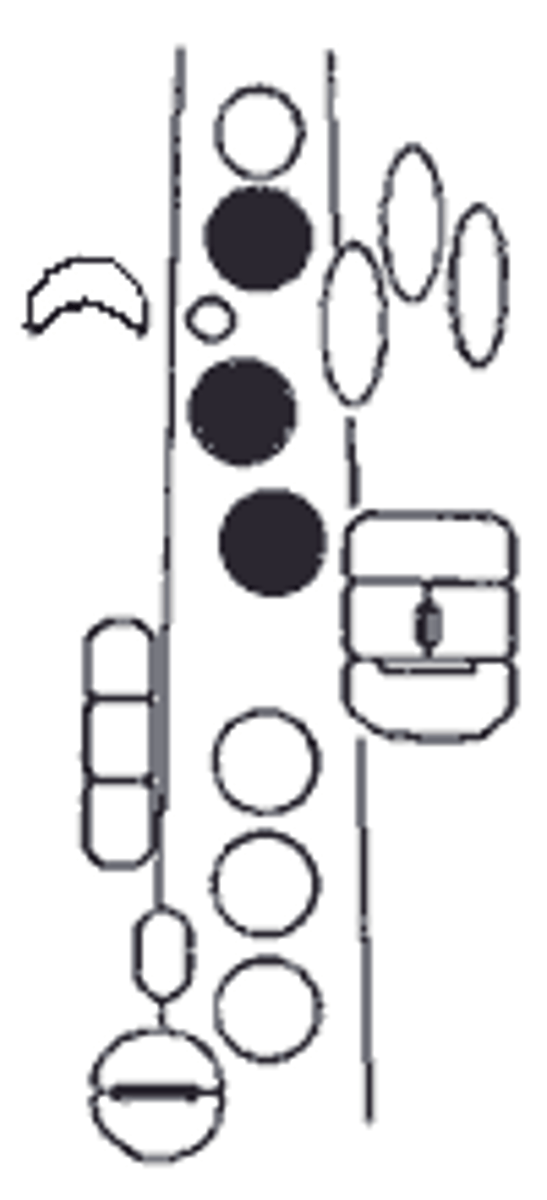 knowt flashcard image