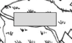 <p>What is the name of this?</p>