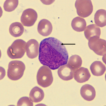 <p>What is this?</p>