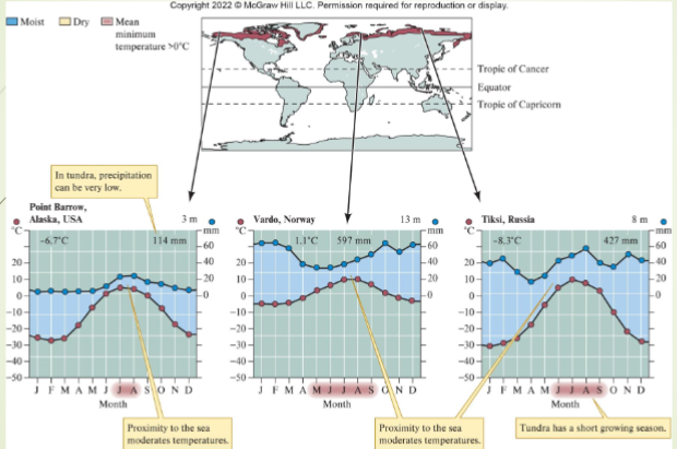 <ul><li><p>covers most of lands north of Arctic Circle</p></li><li><p>climate typically cold and dry with short summers</p><ul><li><p>200 to 600mm precipitation annually</p></li></ul></li><li><p>low decomposition rates</p></li><li><p>dominated by perennial herbaceous plants</p></li><li><p>supports high numbers of native mammals </p></li><li><p>human intrusion historically low, but now increasing</p></li><li><p>described as cold, bare, by arctic/antarctic</p></li></ul><p></p>