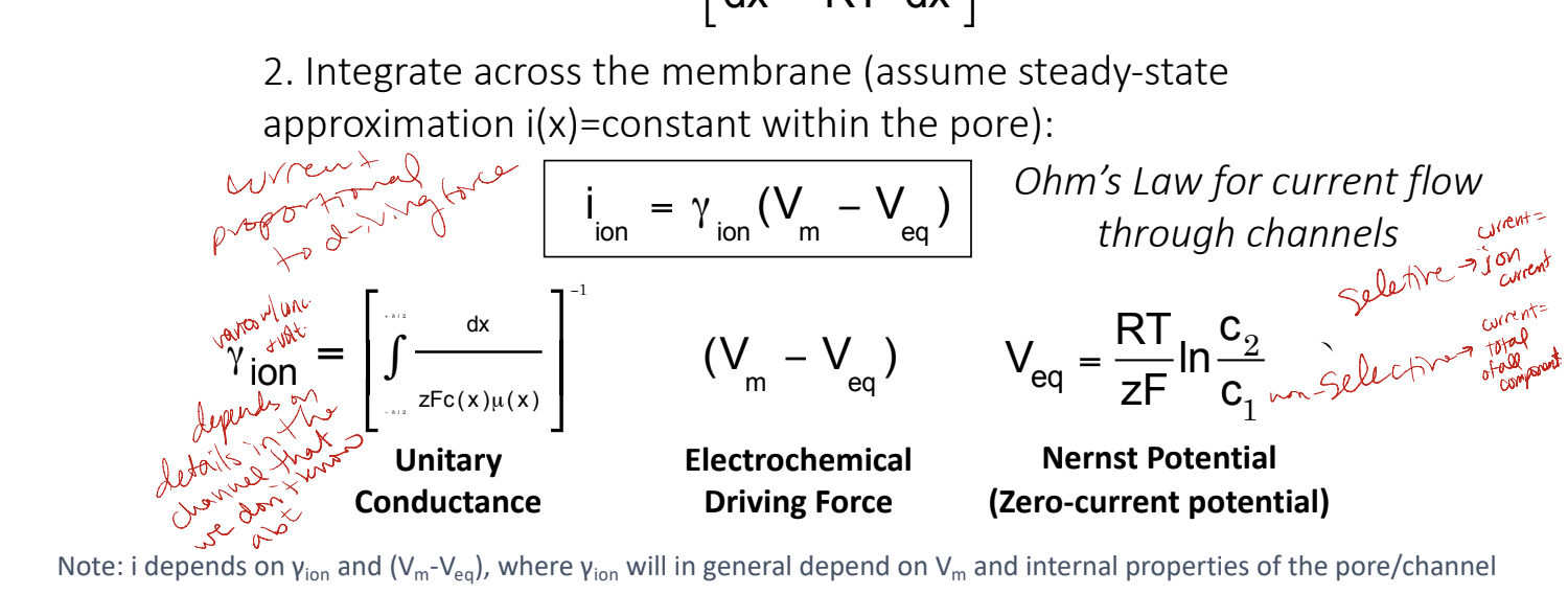 * describes current as a function of Vm and yion (unitary conductance)
* assumes current is in steady state