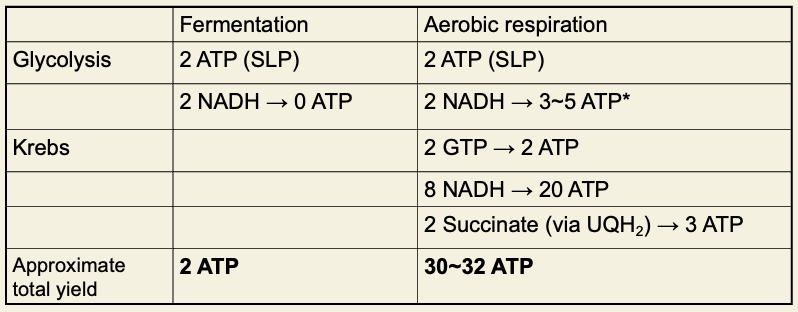 <ul><li><p><span><span>The yield for cytosolic NADH depends on how it gets into the matrix: the malate/aspartate shuttle creates 1 matrix NADH for each cytosolic NADH, which has the same yield as matrix NADH (2.5 ATP per NADH), but the glycerol-3-phosphate shuttle creates 1 membrane UQH2 for each cytosolic NADH, which has the same yield as succinate (1.5 ATP per UQH2).</span></span></p></li><li><p><span><span> Different organs and organisms use different shuttles.</span></span></p></li></ul><p></p>