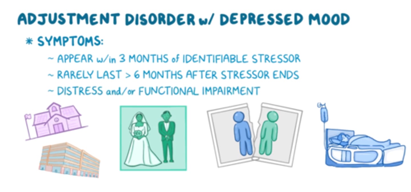 <p>depressed mood due to a significant event/stressor/trigger<br>- symptoms are significant but not enough to meet criteria for major depression<br>- kind of like a <b>grey area</b> between normal grief &amp; major depression</p>