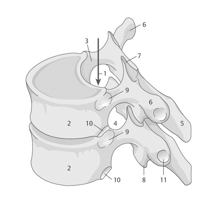 <p>4</p>
