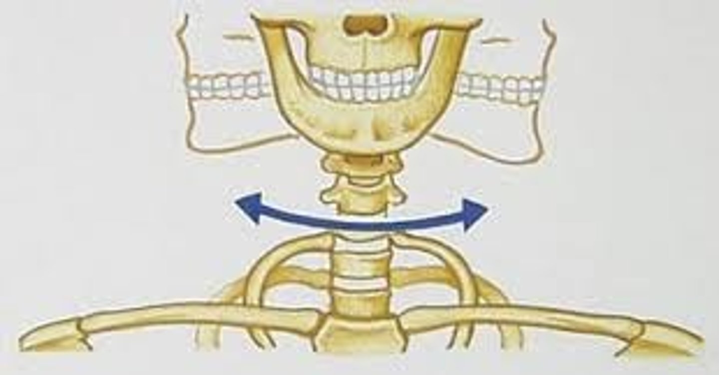 <p>A type of synovial joint that allows for rotational movement around a single longitudinal axis. In this joint, a rounded or pointed bone surface rotates within a ring formed partially by bone and partially by ligament</p><p>- ex. atlantoaxial joint, located between the first and second cervical vertebrae (the atlas and axis). This joint allows the head to rotate from side to side</p>