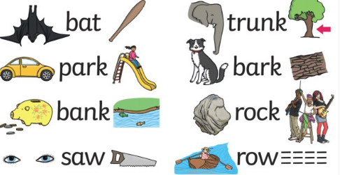 <p>Homonyms </p>