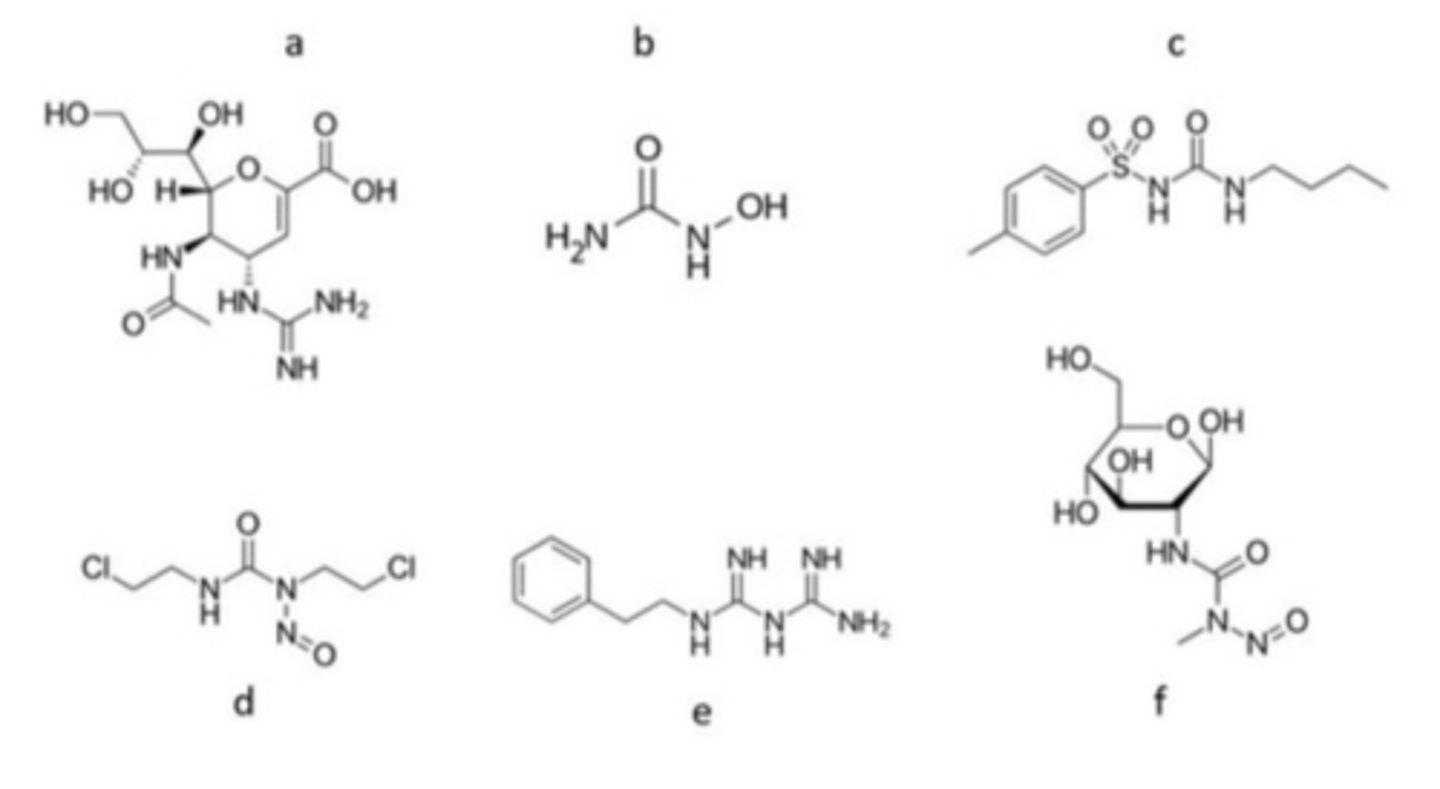 <p>Which are the DNA methylator and the DNA cross linker?</p>
