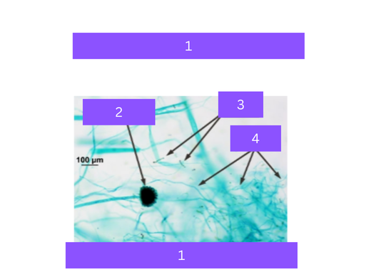 <p>what is 1</p>