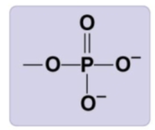 <p>-PO4 2-</p>