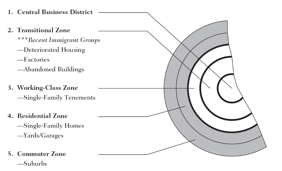 <p>Concentric Circles (Zones) </p>