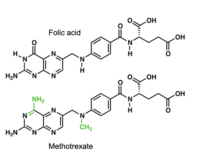 <p>is a folic acid derivative</p><ul><li><p>chemotherapeutic agent in many types of cancer</p></li><li><p>immunosuppressant used to treat inflammatory conditions including rheumatoid arthritis</p></li></ul><p></p>