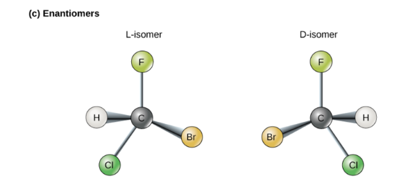 <p>“mirror images” of one another. particularly useful in pharmacology</p>