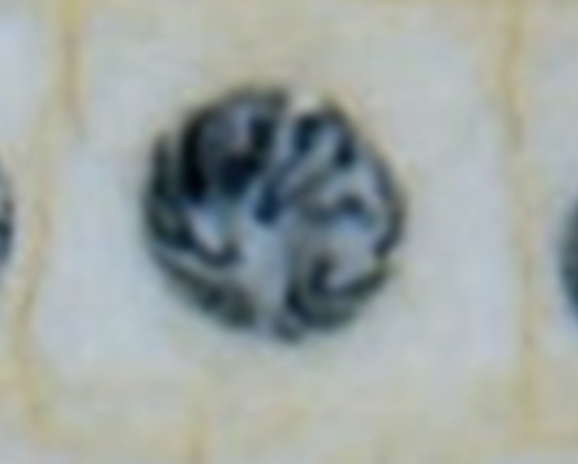 <p>What is the image?</p>