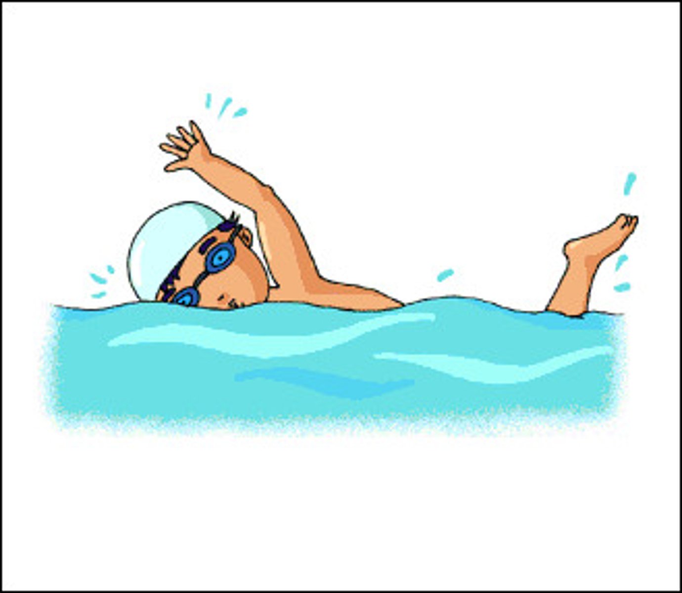 <p>to swim</p>