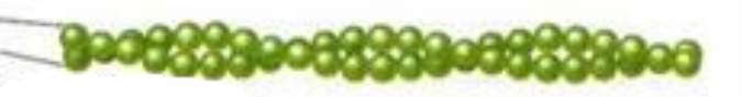 <p><span>intercellular traffic control, muscle contraction, animal cell division</span></p>