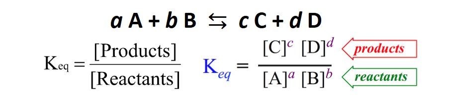 <ul><li><p><span style="background-color: transparent;"><span>Only compounds in the </span><strong><span>gaseous (g) </span></strong><span>and </span><strong><span>aqueous (aq)</span></strong><span> states are allowed.</span></span></p></li><li><p>All Values must be <span style="background-color: transparent;"><strong><em><span>equilibrium</span></em></strong><span> values.</span></span></p></li><li><p><span style="background-color: transparent;"><span>The value of K depends on the particular reaction AND on the temperature.</span></span></p></li><li><p>Concentration or Partial pressures</p></li></ul><p></p>