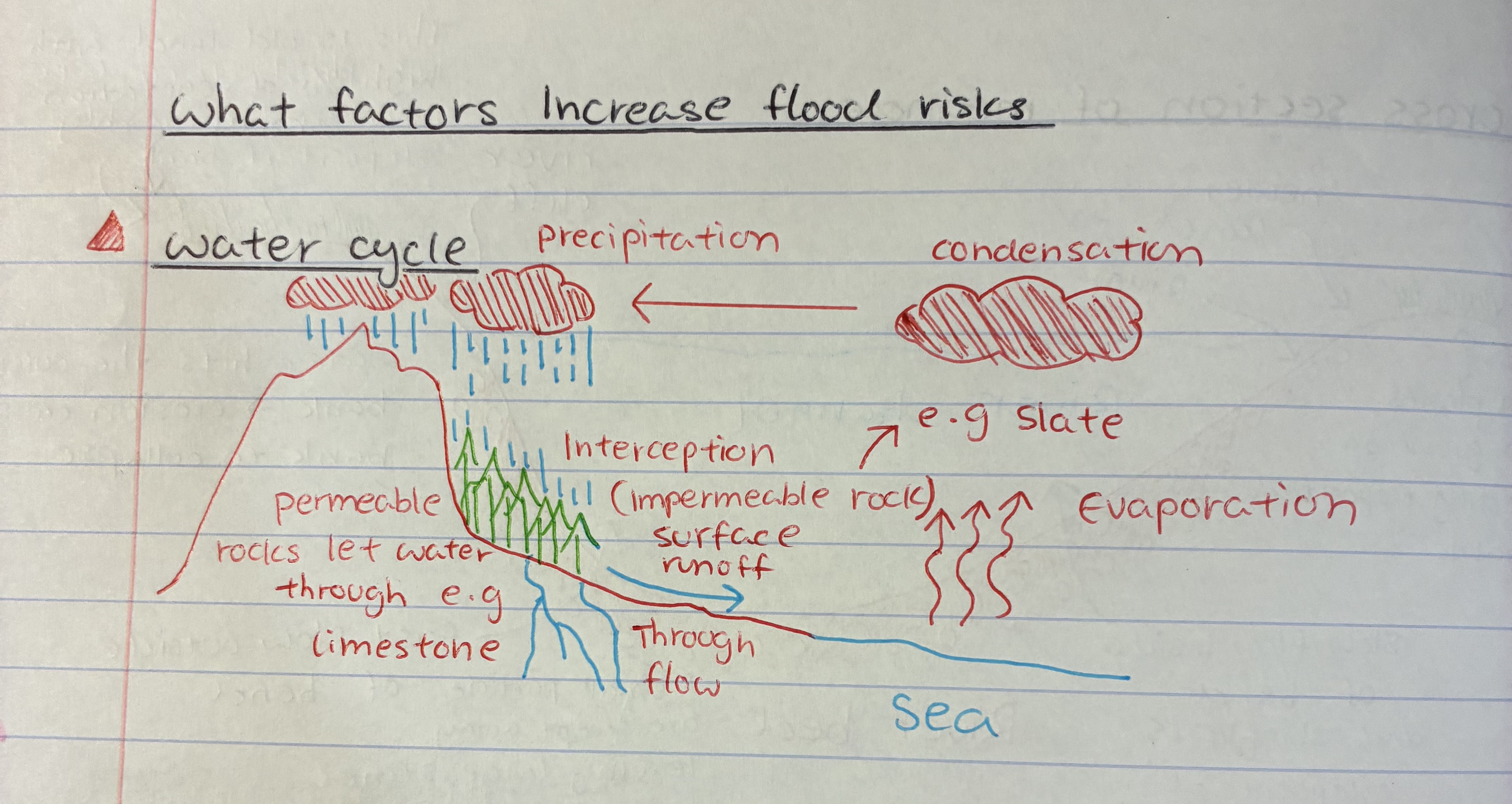 <p>1) Water evaporates from the sea</p><p>2) condenses to form clouds, which are carried by wind&nbsp;</p><p>3) When clouds become heavy, water falls back to Earth as <strong>rain, snow, sleet, or hail</strong></p><p>4) water flows overland into rivers and streams</p><p>5) Some water infiltrates into the ground bc of permeable rocks, e.g lime limestone → eventually back to rivers, lakes, or sea</p><p>6) Some are intercepted by trees, reducing surface runoff into rivers/streams&nbsp;</p><p>7)&nbsp;&nbsp;Eventually, the water collects in oceans, lakes, and rivers — and the cycle repeats.</p>