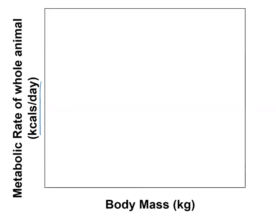 <p>what would this graph look like? Is it mass specific?</p>