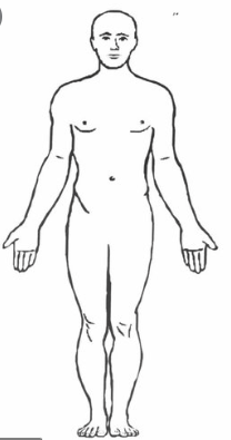 <p>When someone is standing erect with arms at the sides and palms facing forward</p>