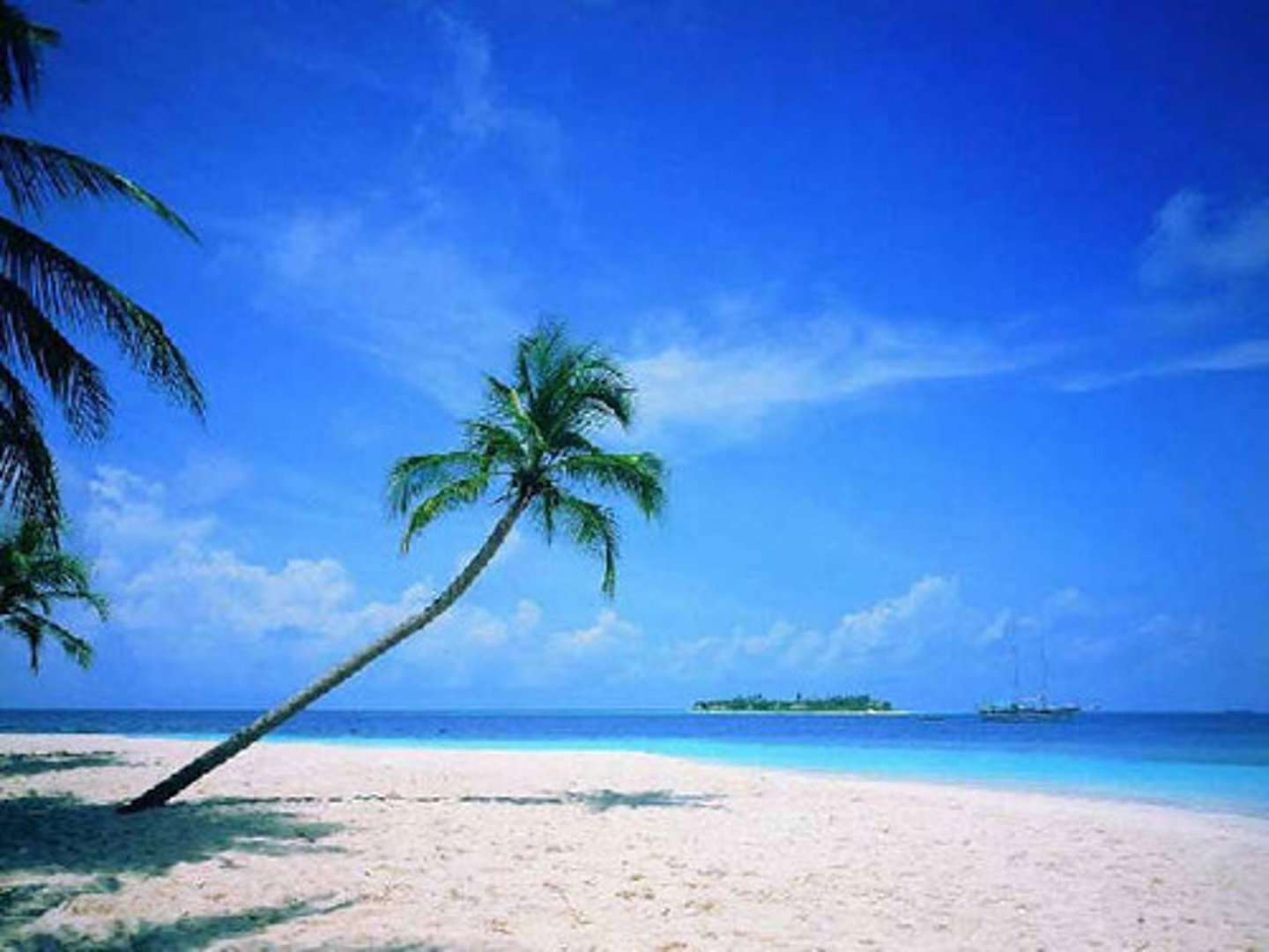 <p>trời đẹp / it's nice</p>