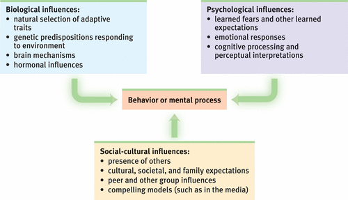 An integrated approach that incorporates biological, psychological, and social-cultural levels of analysis to explain a behavior