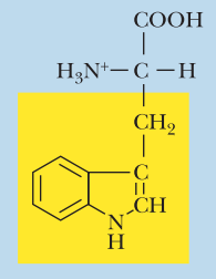 <ul><li><p>Nonpolar</p></li><li><p>Trp, W</p></li><li><p>α-COOH pKa: 2.4</p></li><li><p>α-NH3+ pKa: 9.4</p></li></ul><p></p>