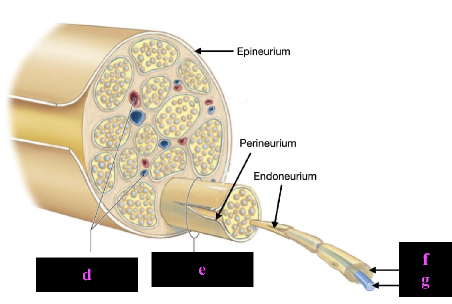 <p>e</p>