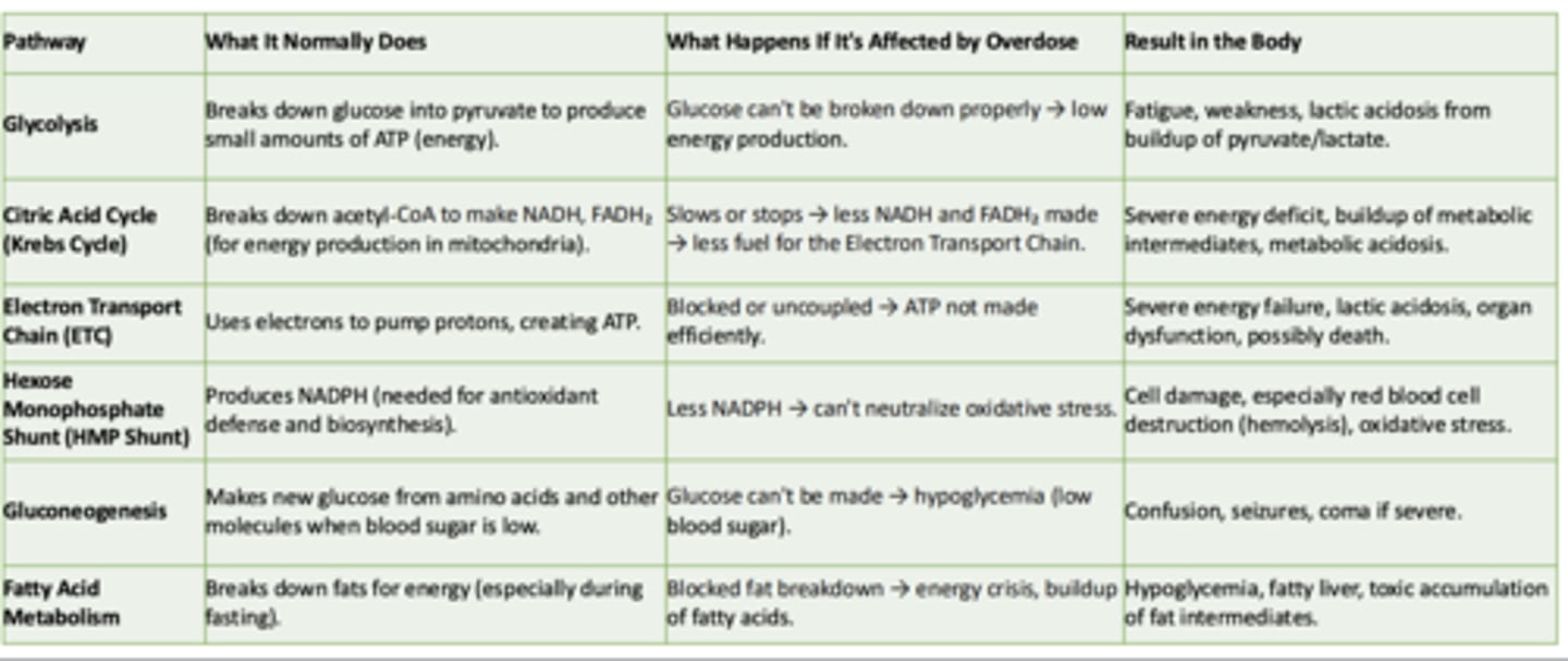 <p>What it normally does:</p><p>- Breaks down fats for energy (especially during fasting)</p><p>What happens if its affected by overdose:</p><p>- Blocked fat breakdown → energy crisis, buildup of fatty acids</p><p>Result in the body:</p><p>- Hypoglycemia, fatty liver, toxic accumulation of fat intermediates</p>