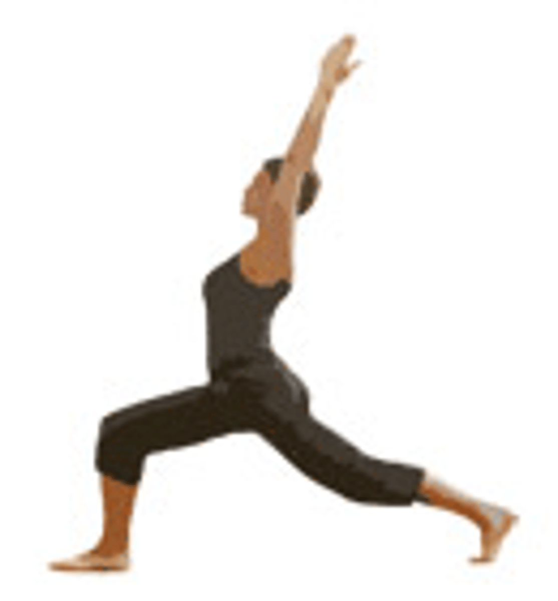 <p>front knee</p>