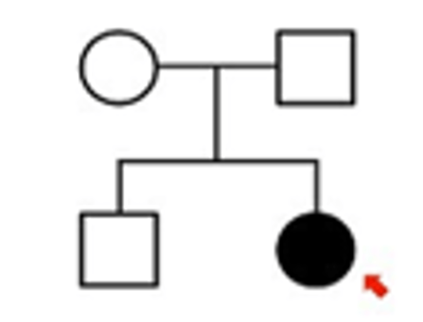 <p>Autosomal Recessive</p>