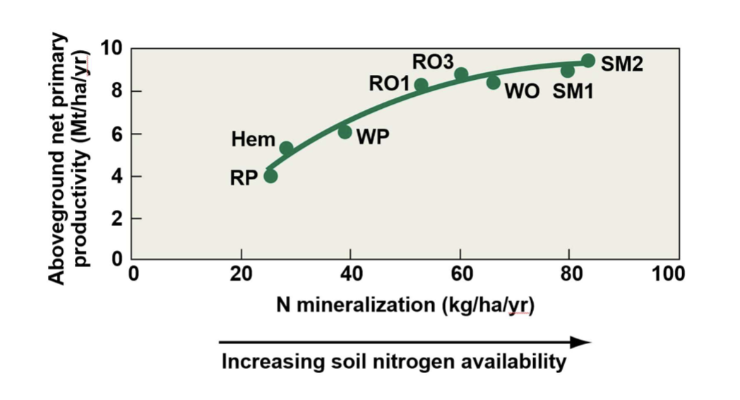 <p>more available nutrient → higher NPP</p>