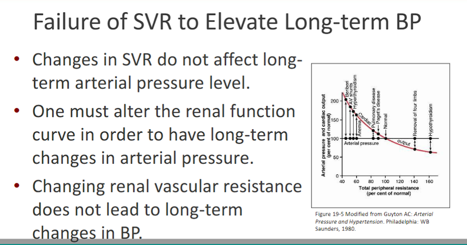 <p>-Changes in SVR (vasoconstriction vasodilation)&nbsp;<u>do not affect long- term arterial pressure level</u></p><p>-therefore, one must <strong>alter the renal function curve</strong> in order to have<strong> long-term changes in arterial pressure.</strong></p><p>-Changing <u>renal vascular resistance</u> does not lead to long-term changes in BP.</p>
