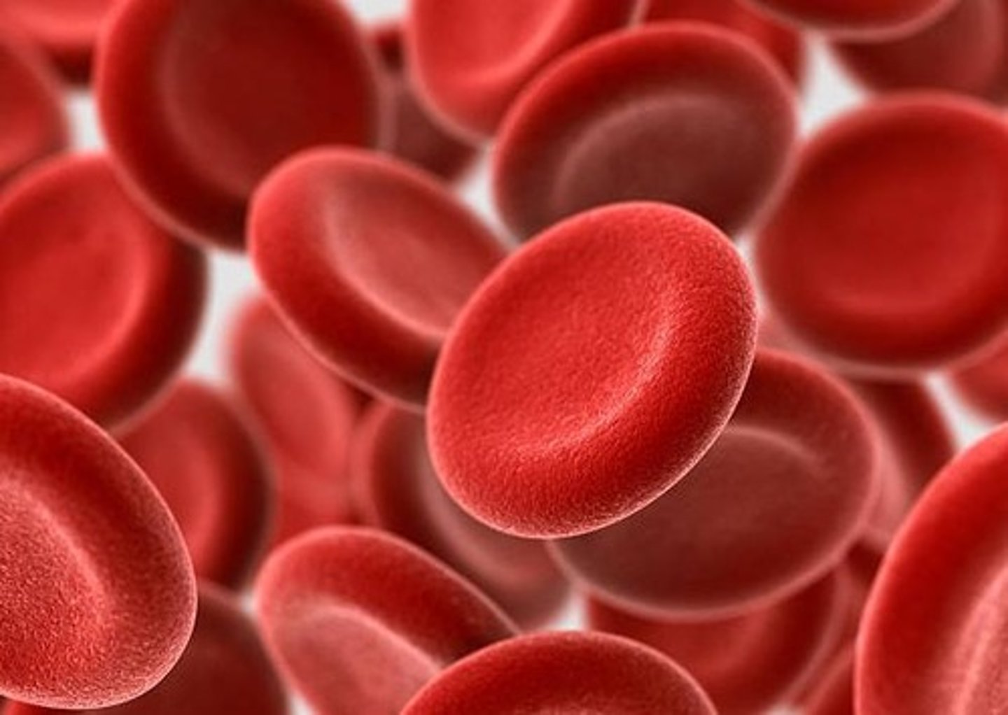 <p>Transport oxygen using hemoglobin</p>