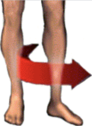 <p>a rotating movement away from the midline.</p>